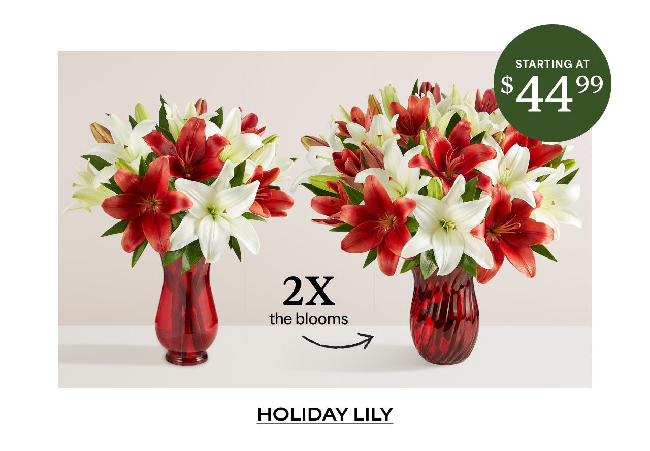 2x The Blooms | Holiday Lily