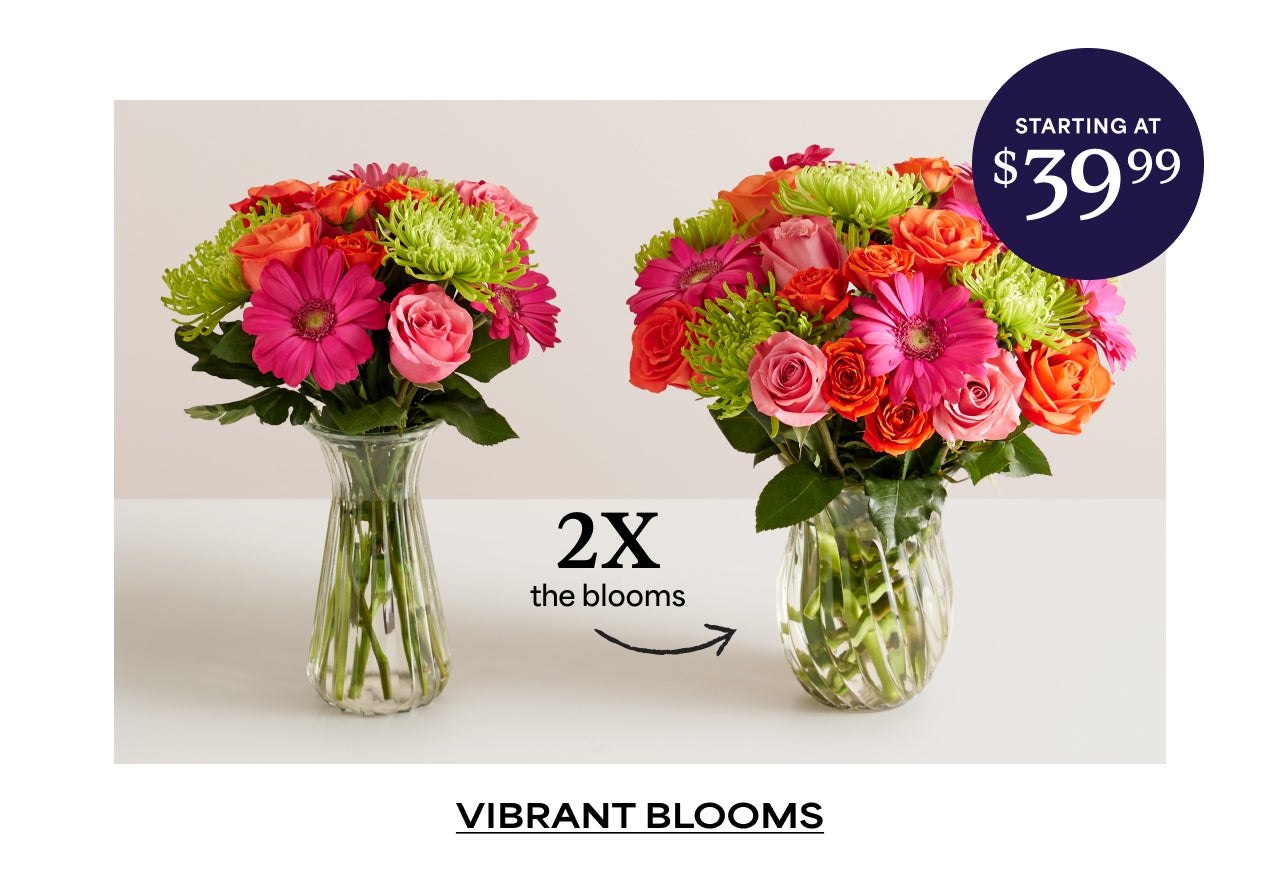 2X The Blooms | Vibrant Blooms