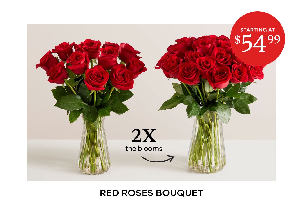 RED ROSES BOUQUET