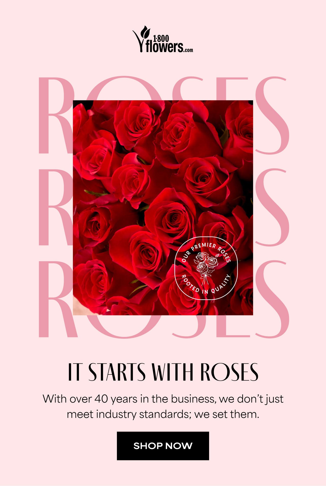 IT STARTS WITH ROSES