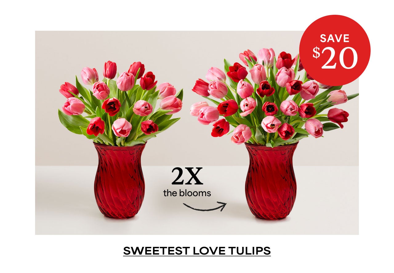 SWEETEST LOVE TULIPS