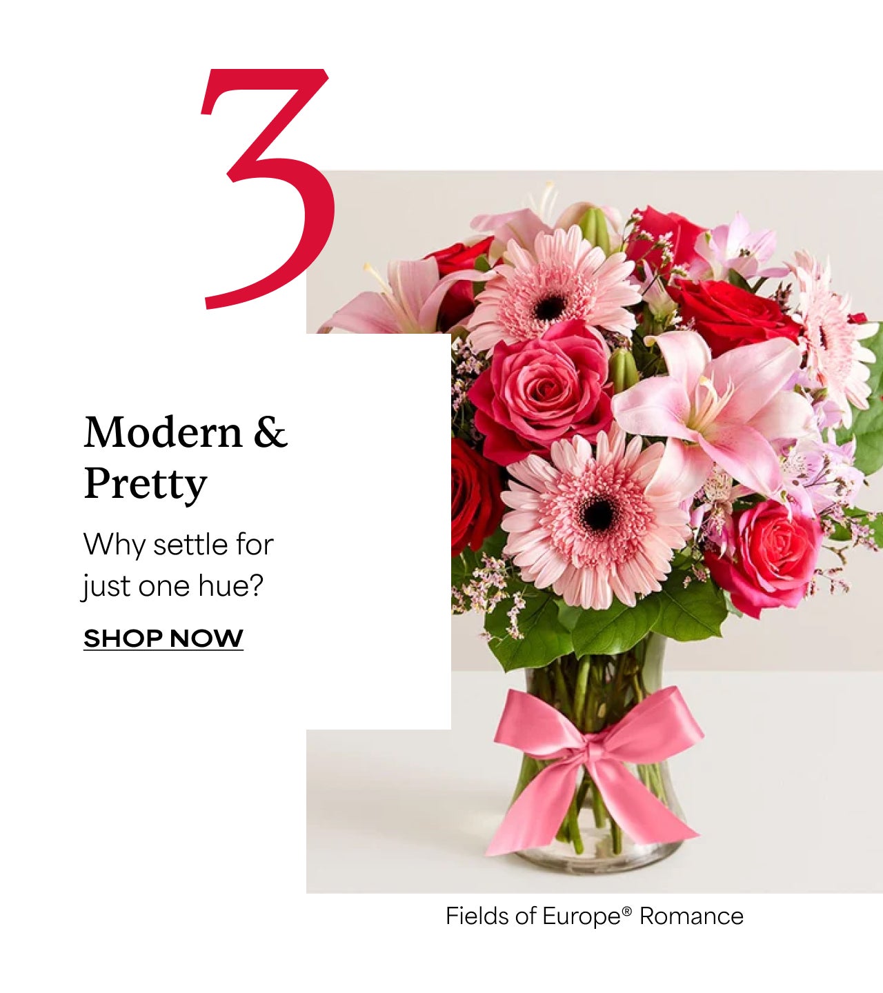 SHOP MODERN & PRETTY