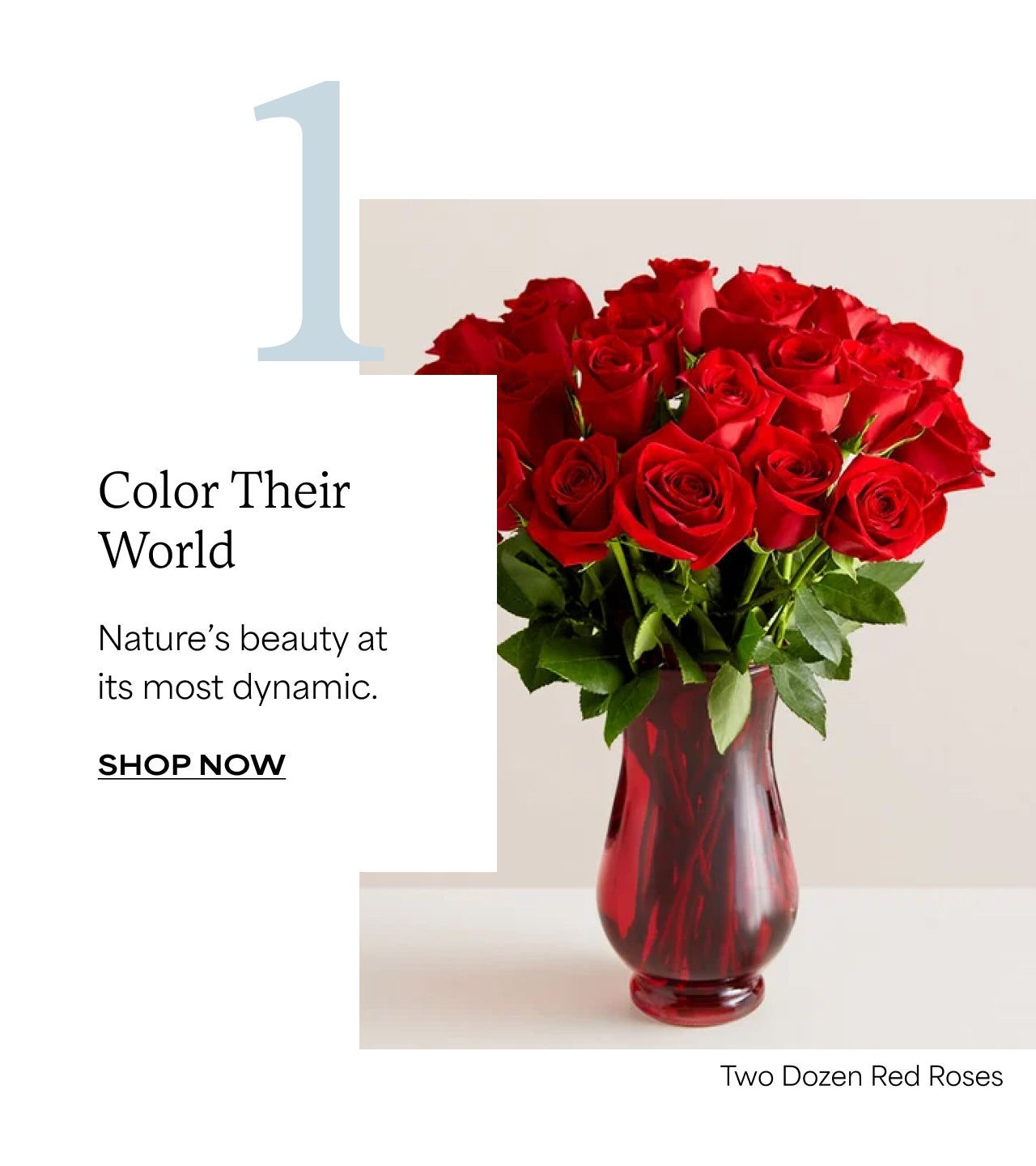 COLOR THEIR WORLD