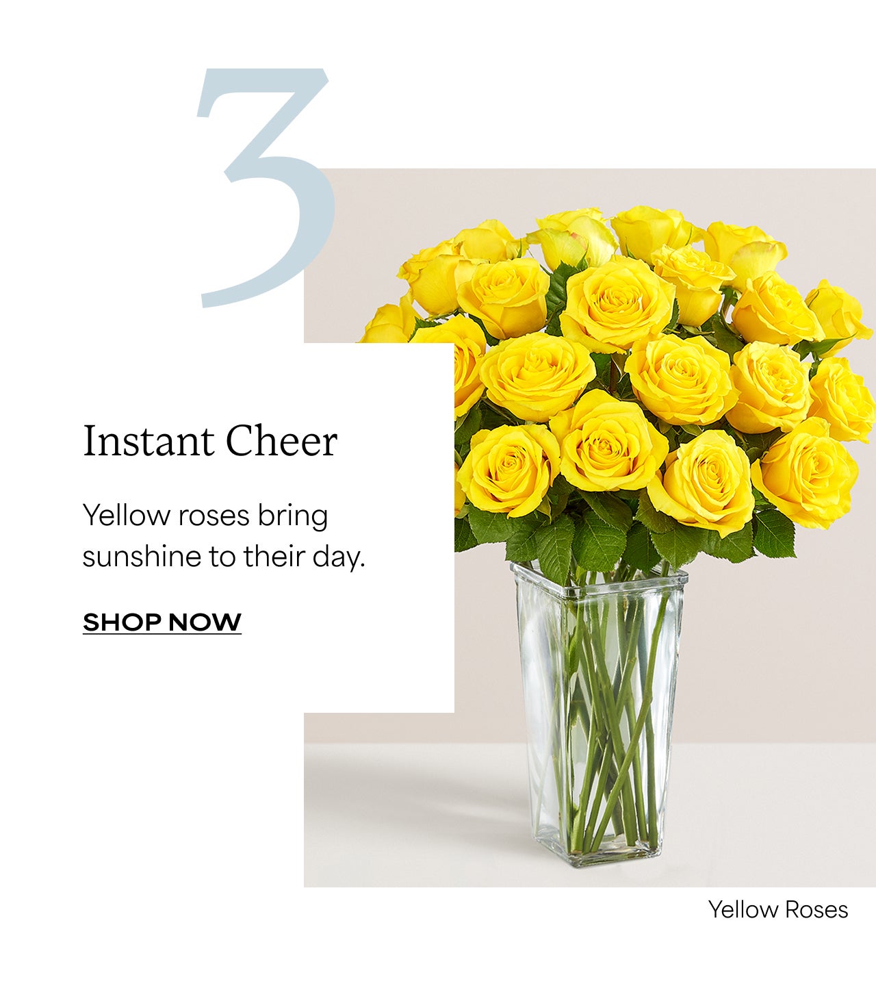 INSTANT CHEER