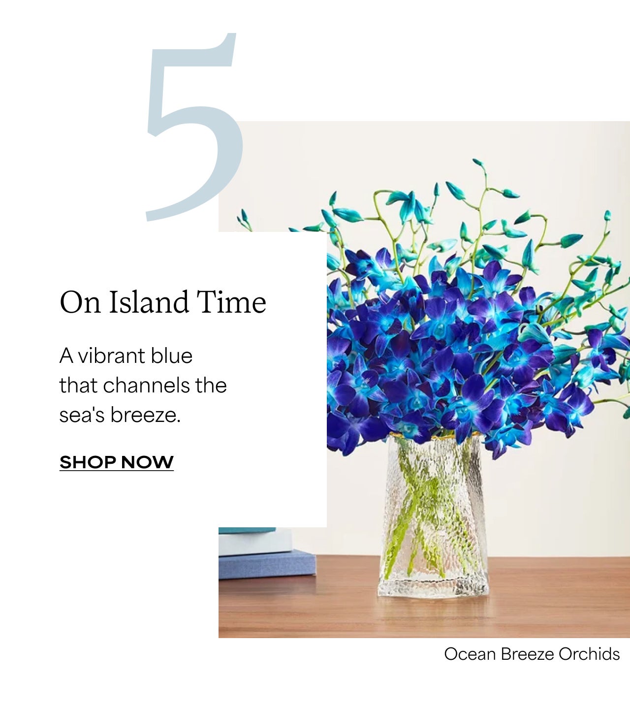ON ISLAND TIME