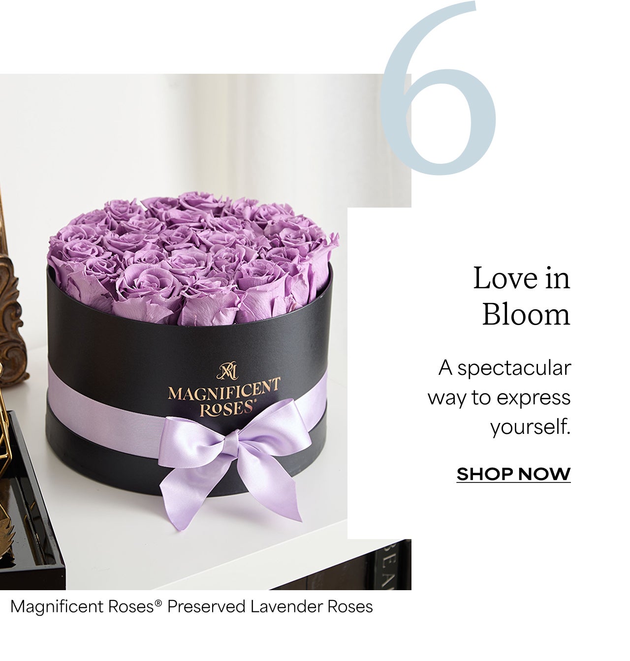 LOVE IN BLOOM