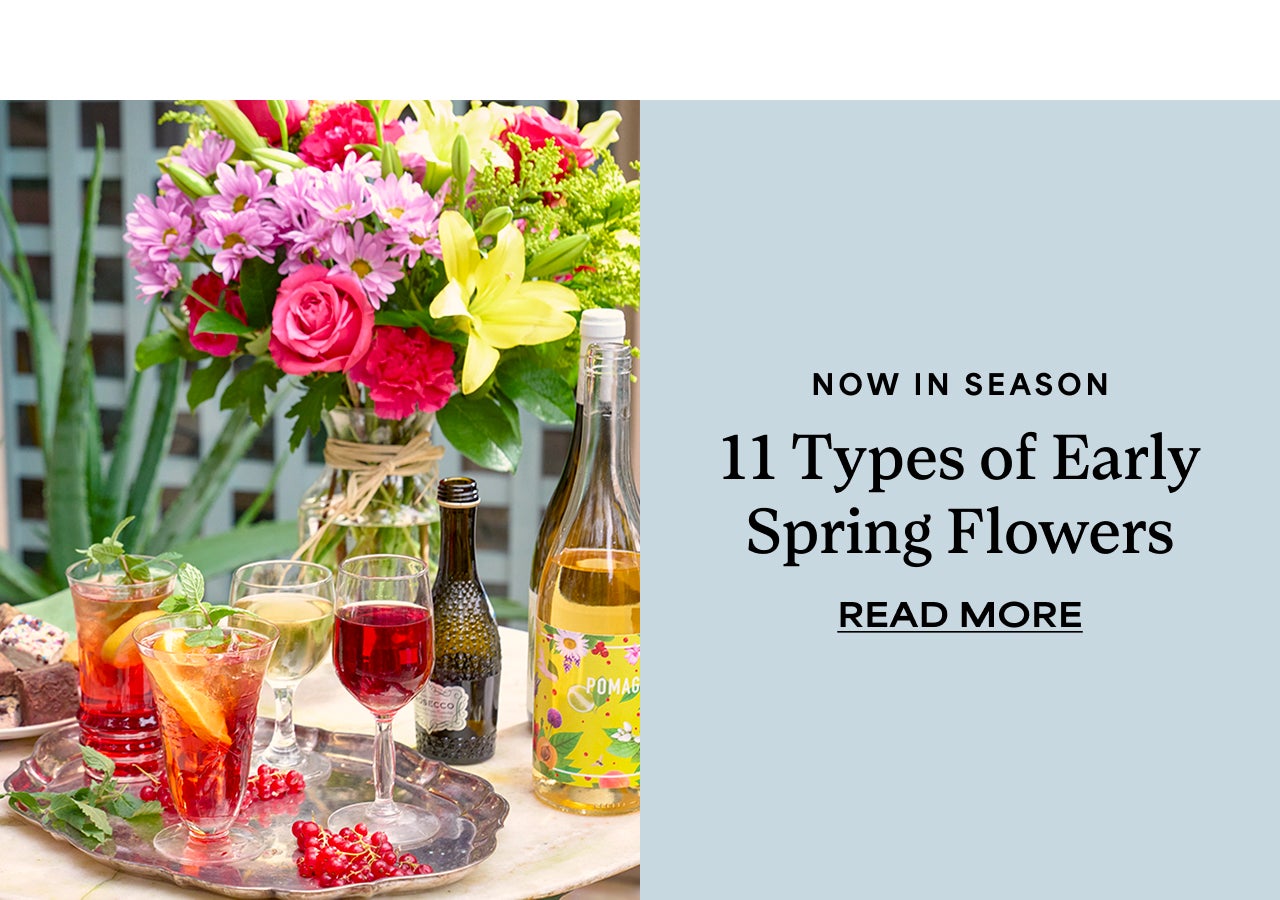 11 TYPES OF EARLY SPRING FLOWERS