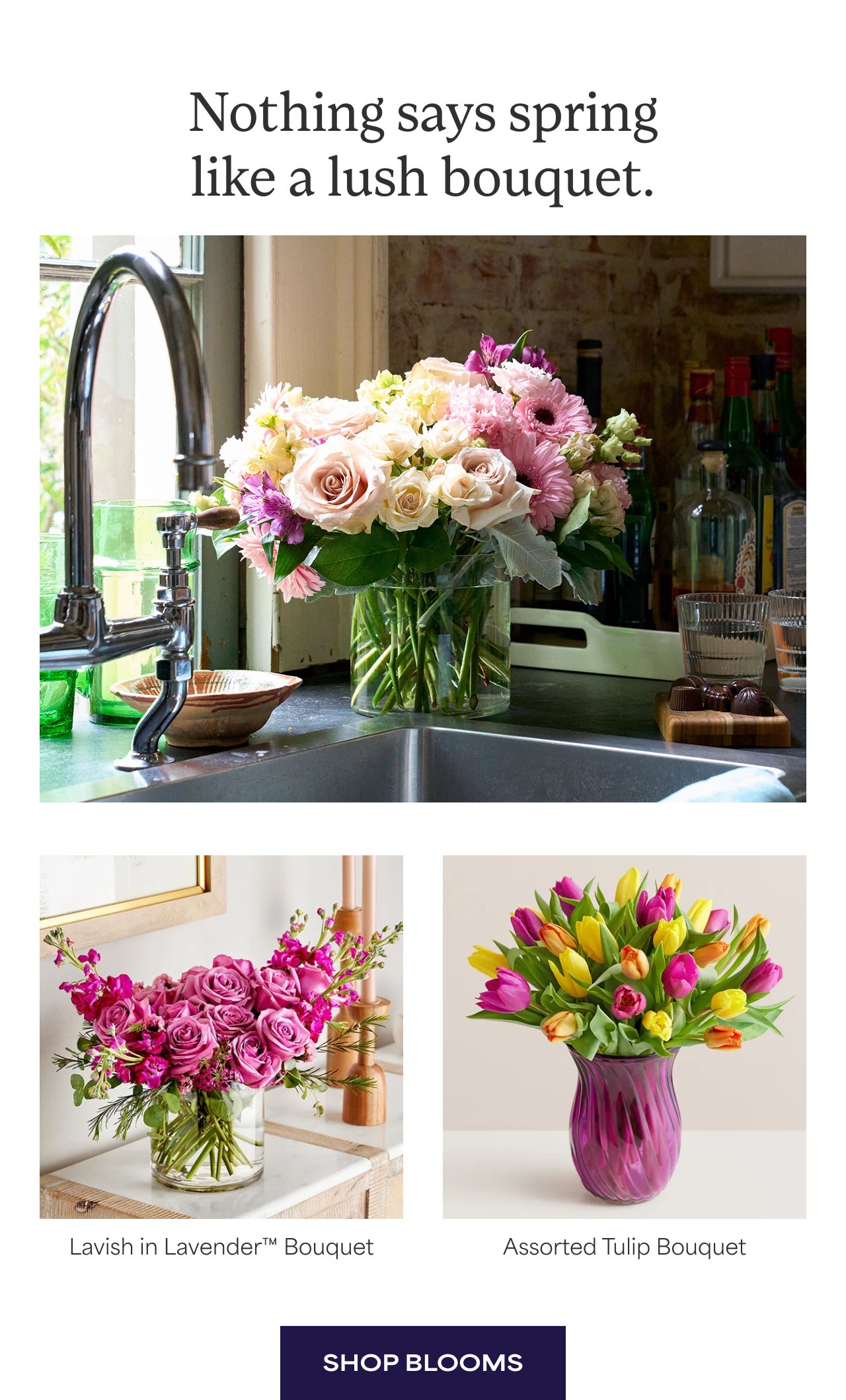 SHOP BLOOMS