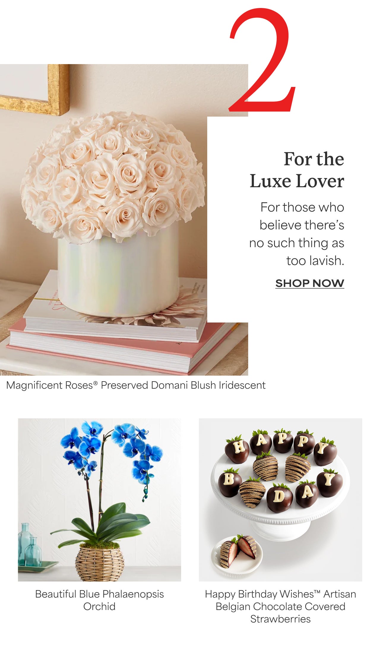 SHOP FOR THE LUXE LOVER