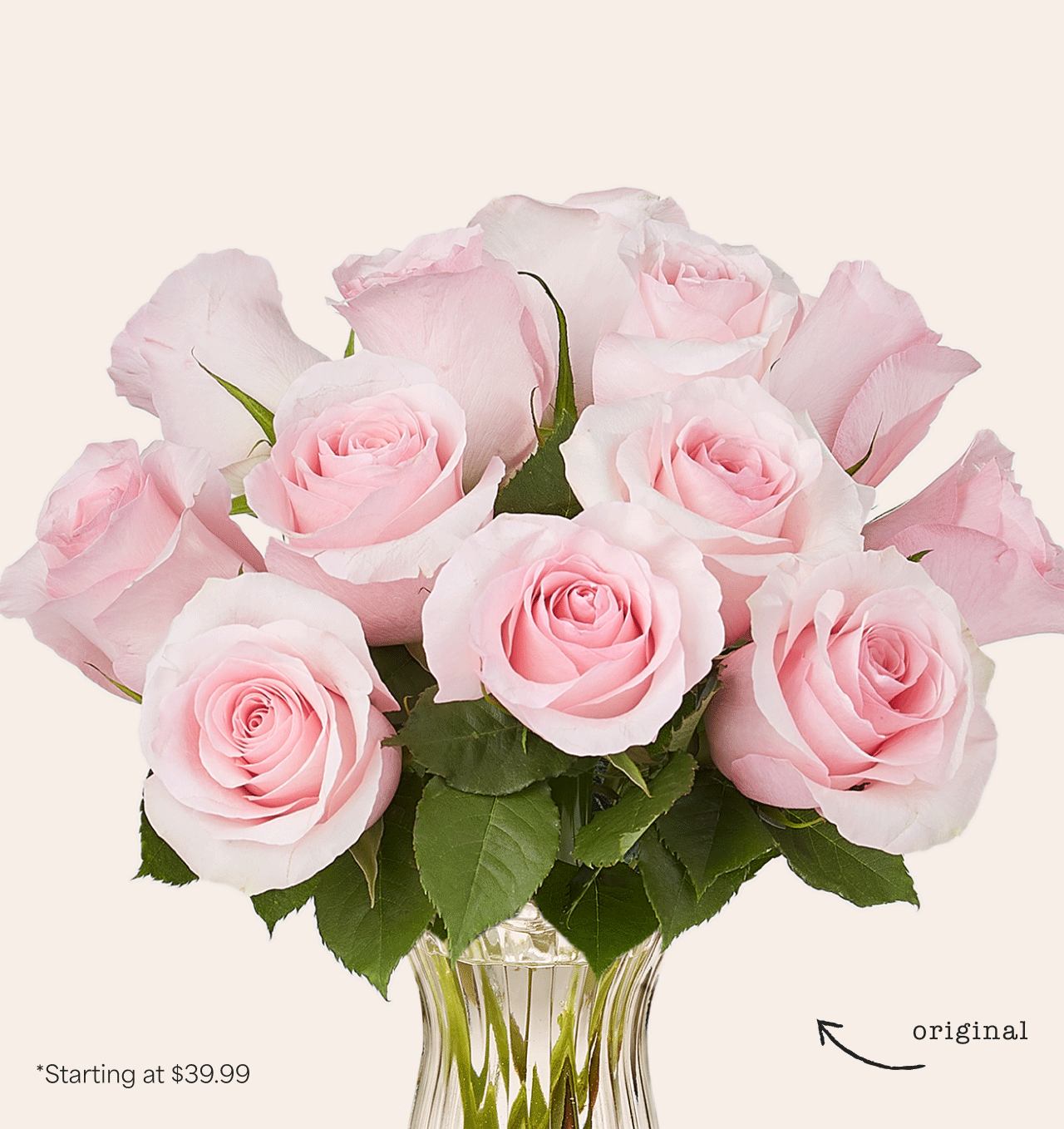 DOUBLE THE BLOOMS