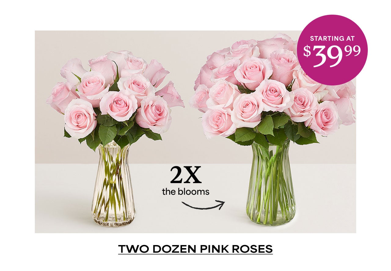 SHOP PINK ROSES