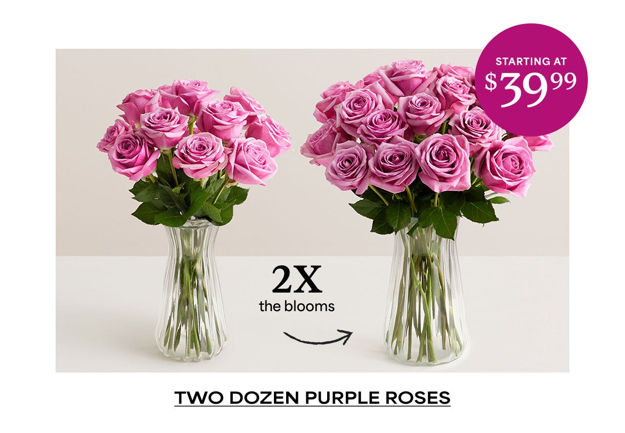 SHOP PURPLE ROSES