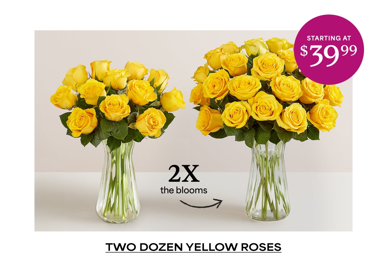 SHOP YELLOW ROSES