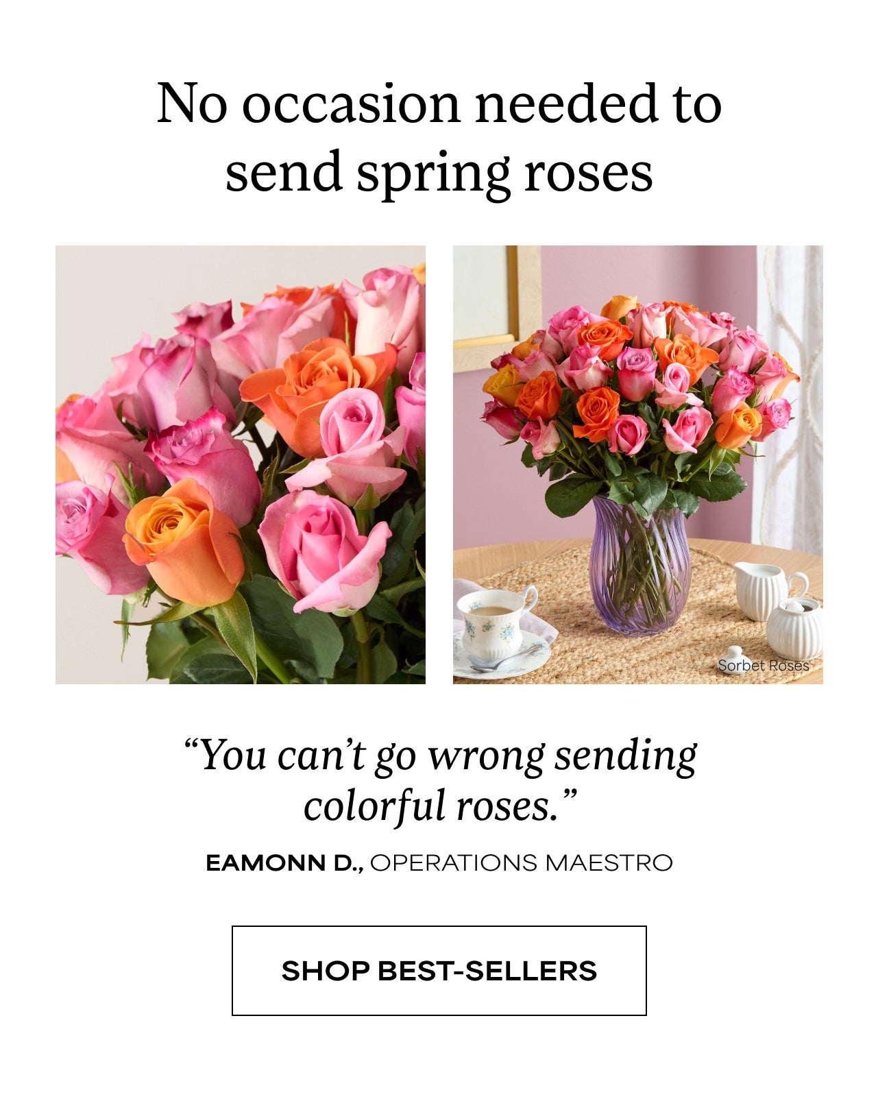SHOP BEST-SELLERS