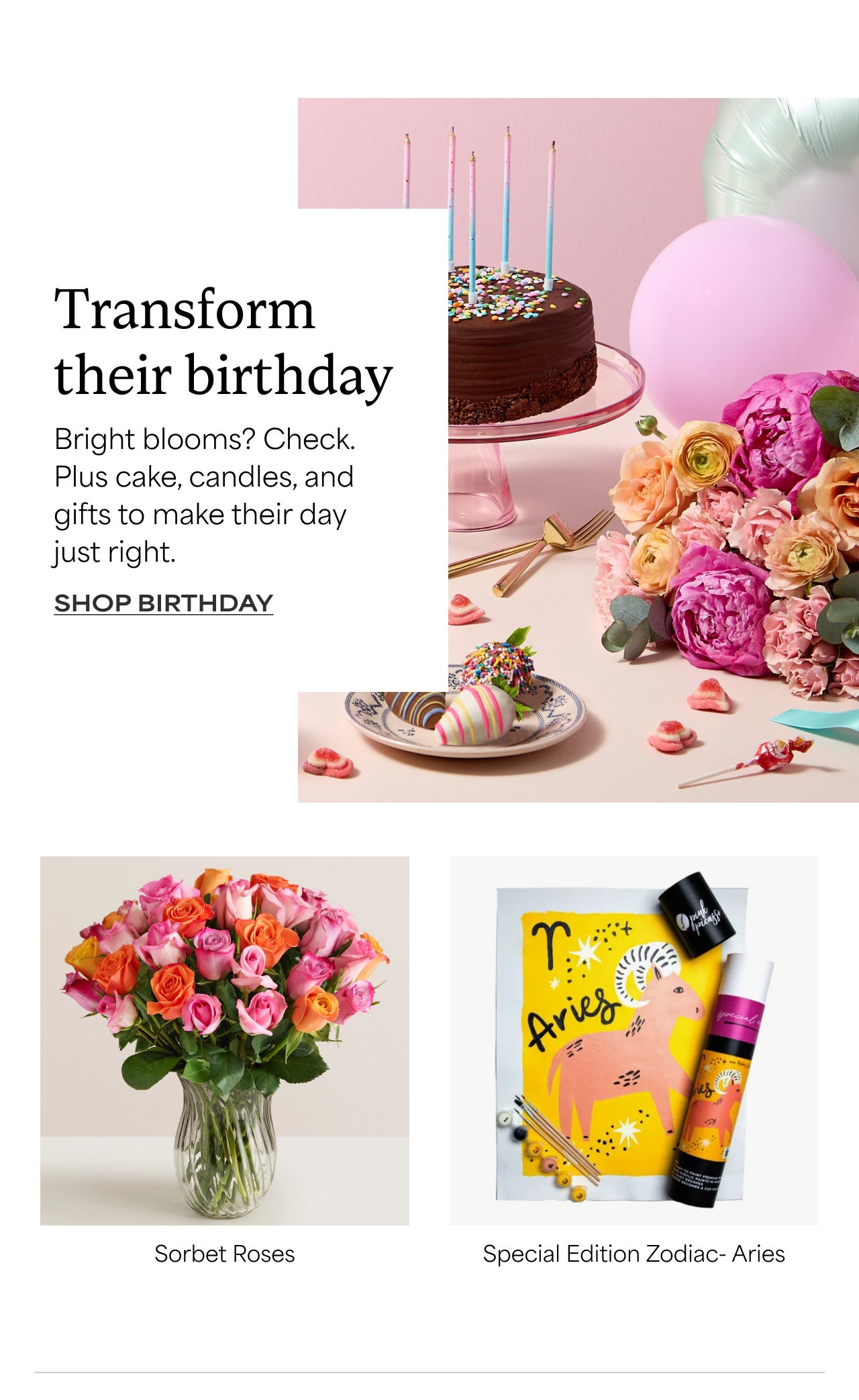 SHOP BIRTHDAY