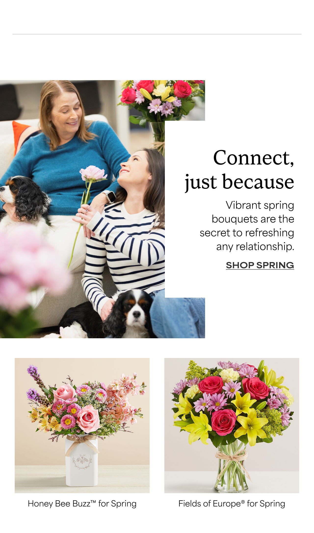 SHOP SPRING