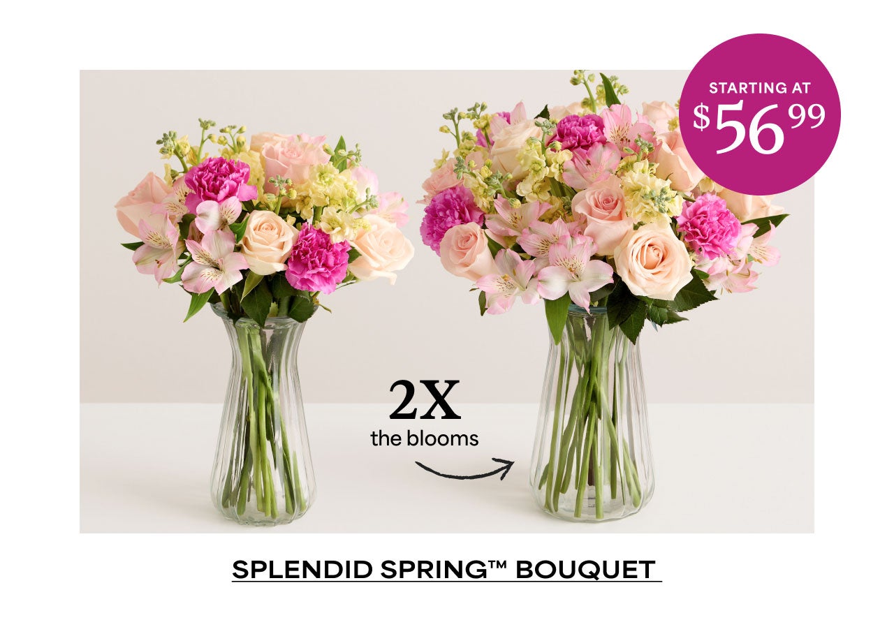 SPLENDID SPRING BOUQUET