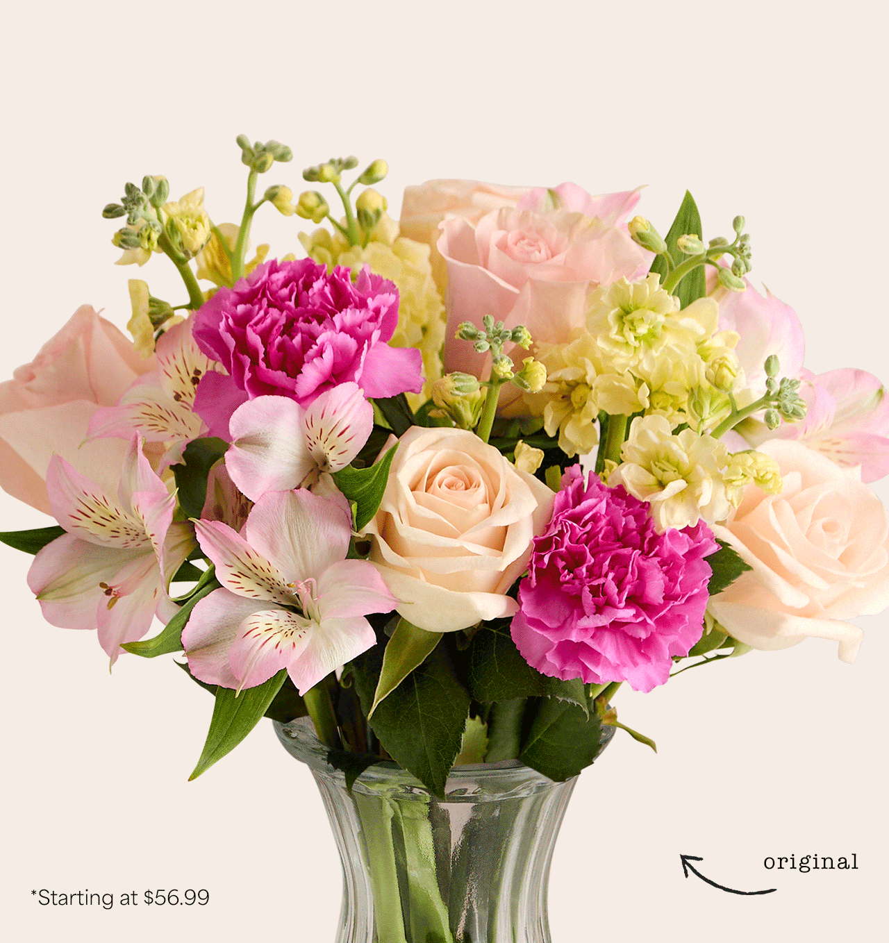 DOUBLE THE BLOOMS