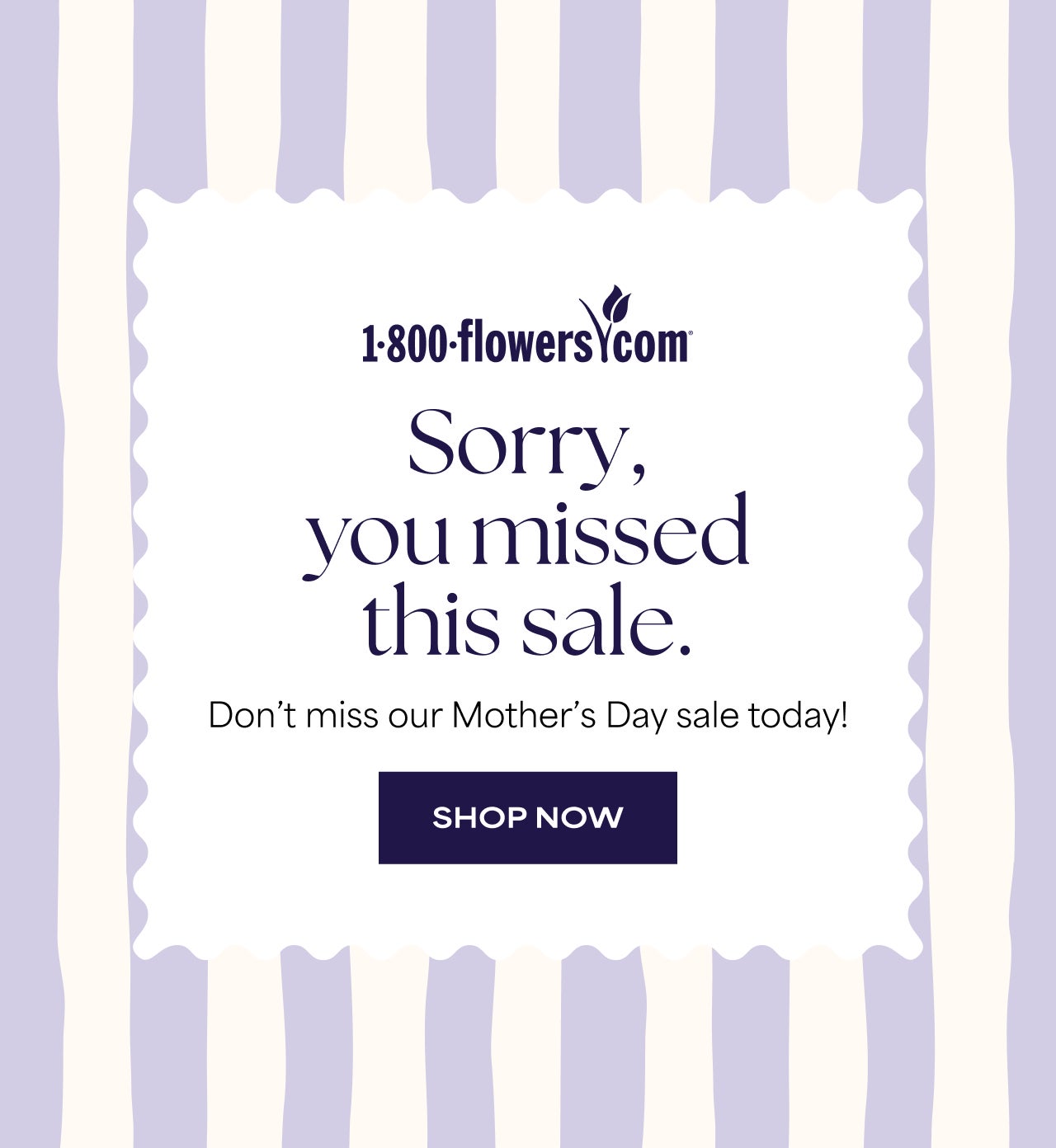 SHOP SPRING FLOWERS