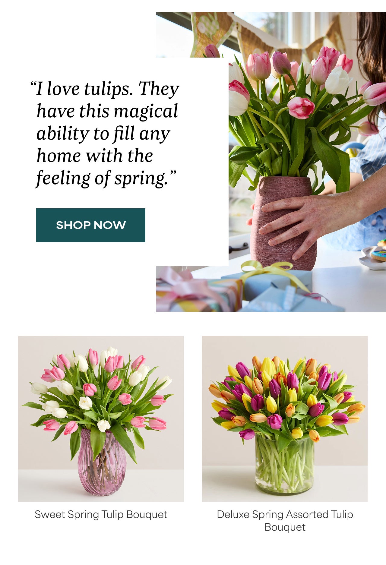 SHOP TULIPS