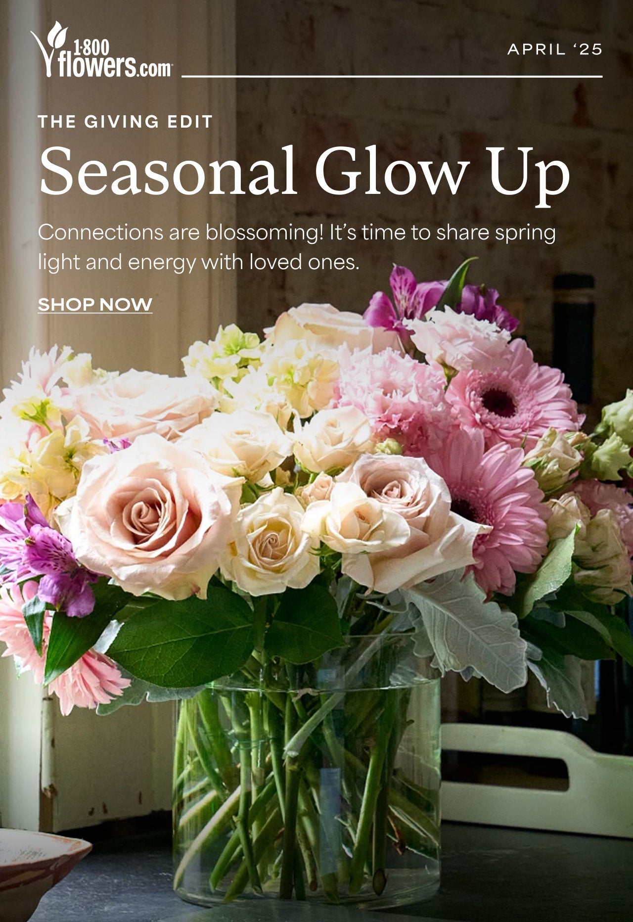 SEASONAL GLOW UP