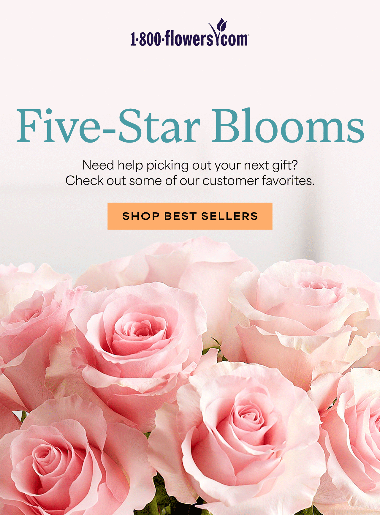 5-Star Blooms | Shop Best Sellers