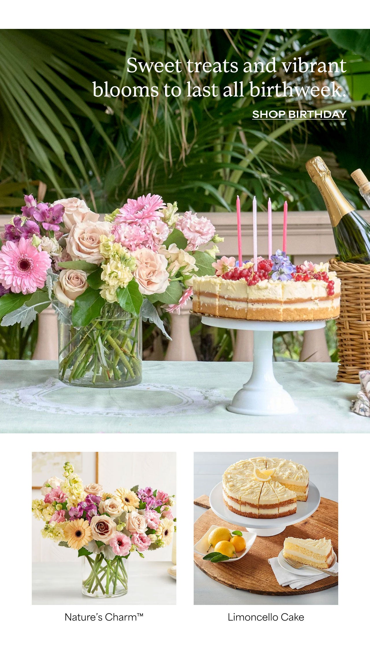 SHOP BIRTHDAY