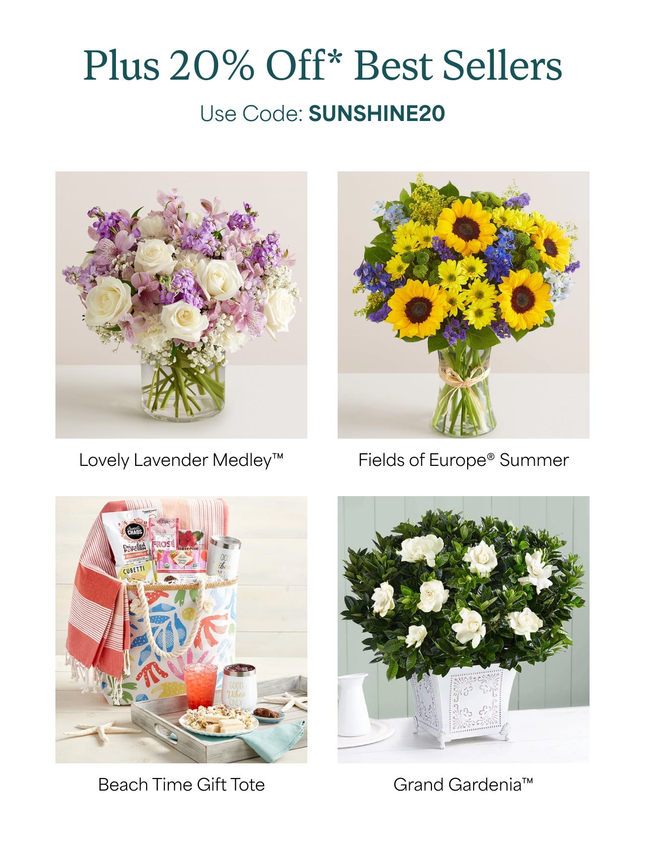 PLUS 20% OFF BEST SELLERS