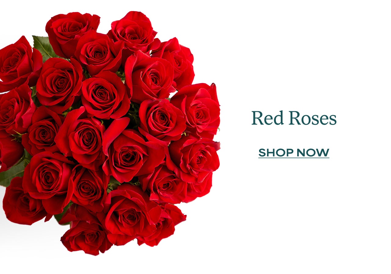 TWO DOZEN RED ROSES