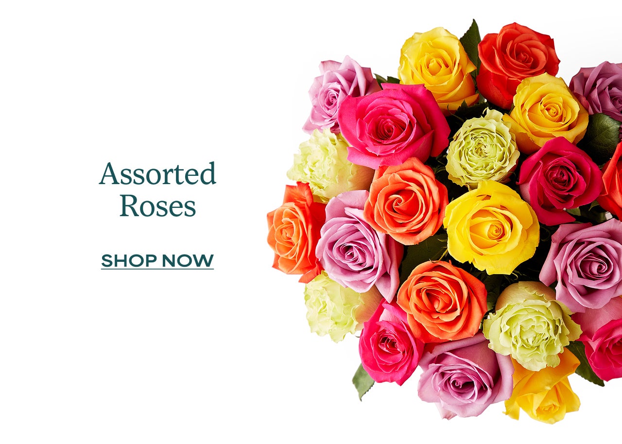 TWO DOZEN ASSORTED ROSES