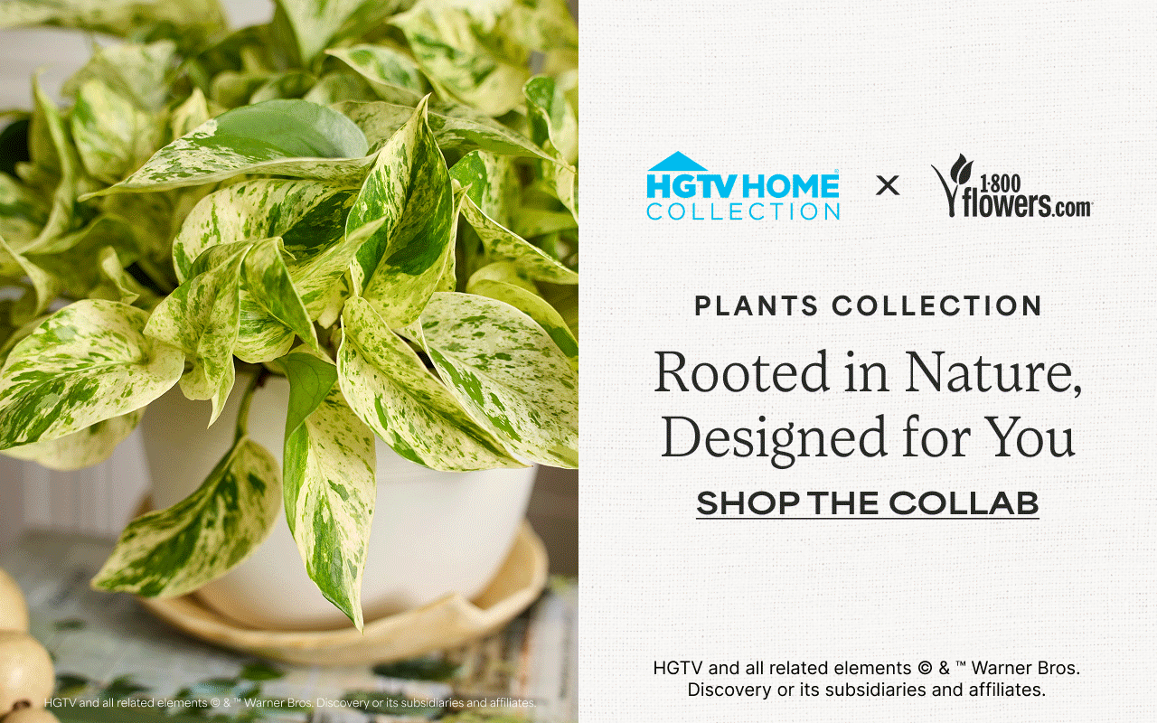 HGTV SHOP THE COLLECTION