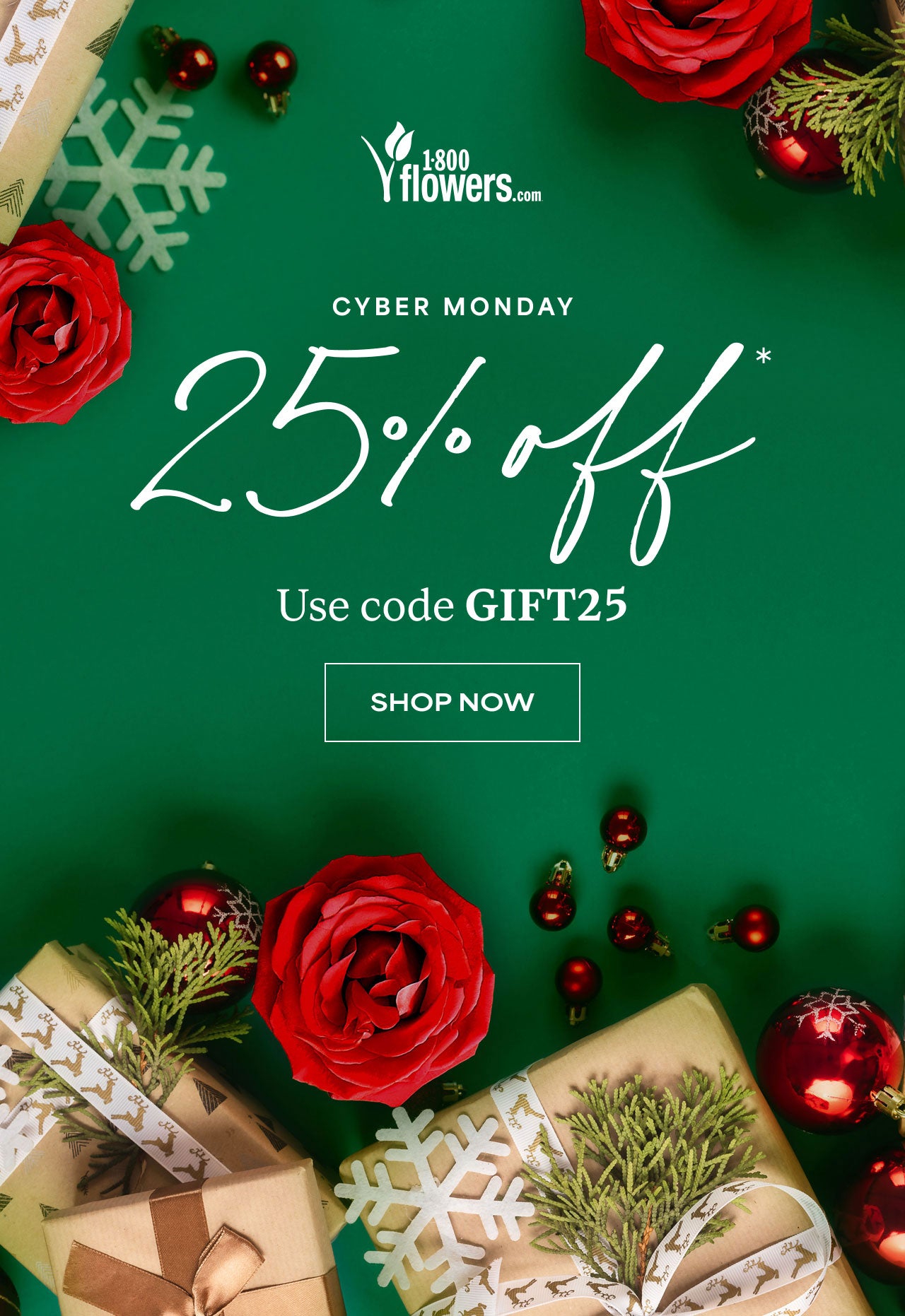 Cyber Monday | Use Code GIFT25