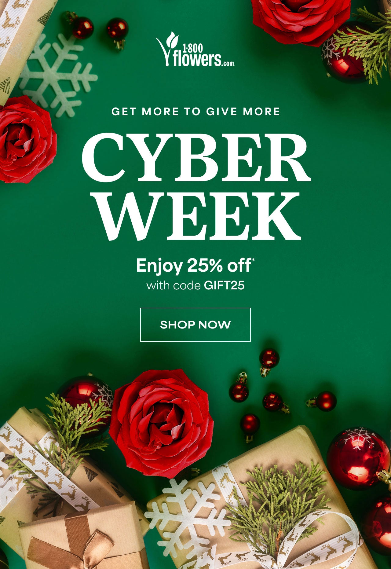 Get More to Give More | Cyber Week | Enjoy 25% Off with Code GIFT25