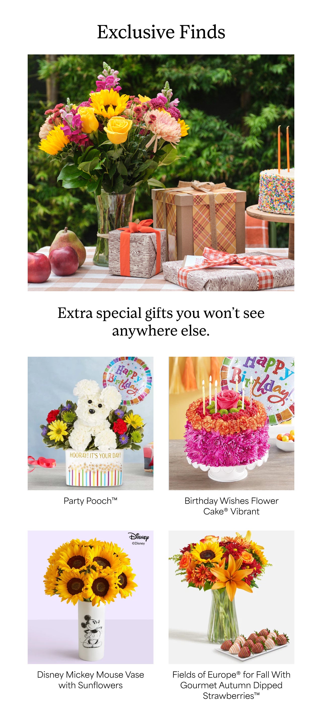 Exclusive Finds | Extra special gifts you won't see anywhere else.