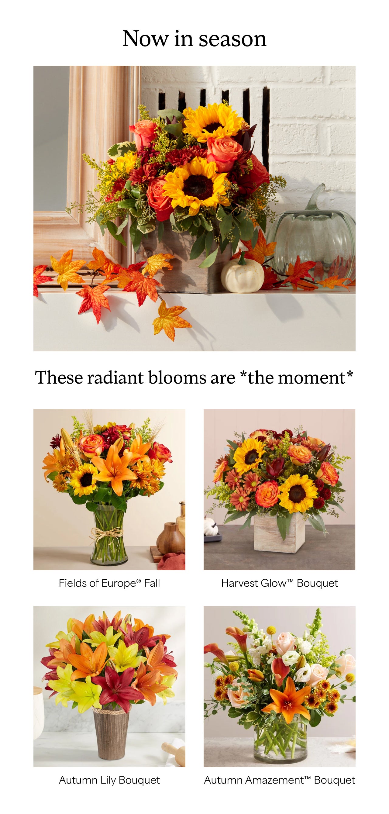 Now in Season | These radiant blooms are *the moment*