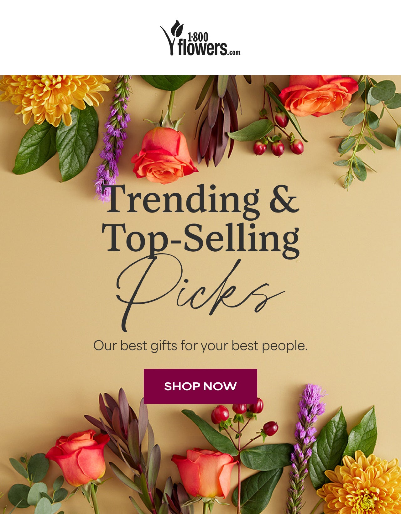 Trending & Top-Selling Picks | Our best gifts for your people. | Shop Now