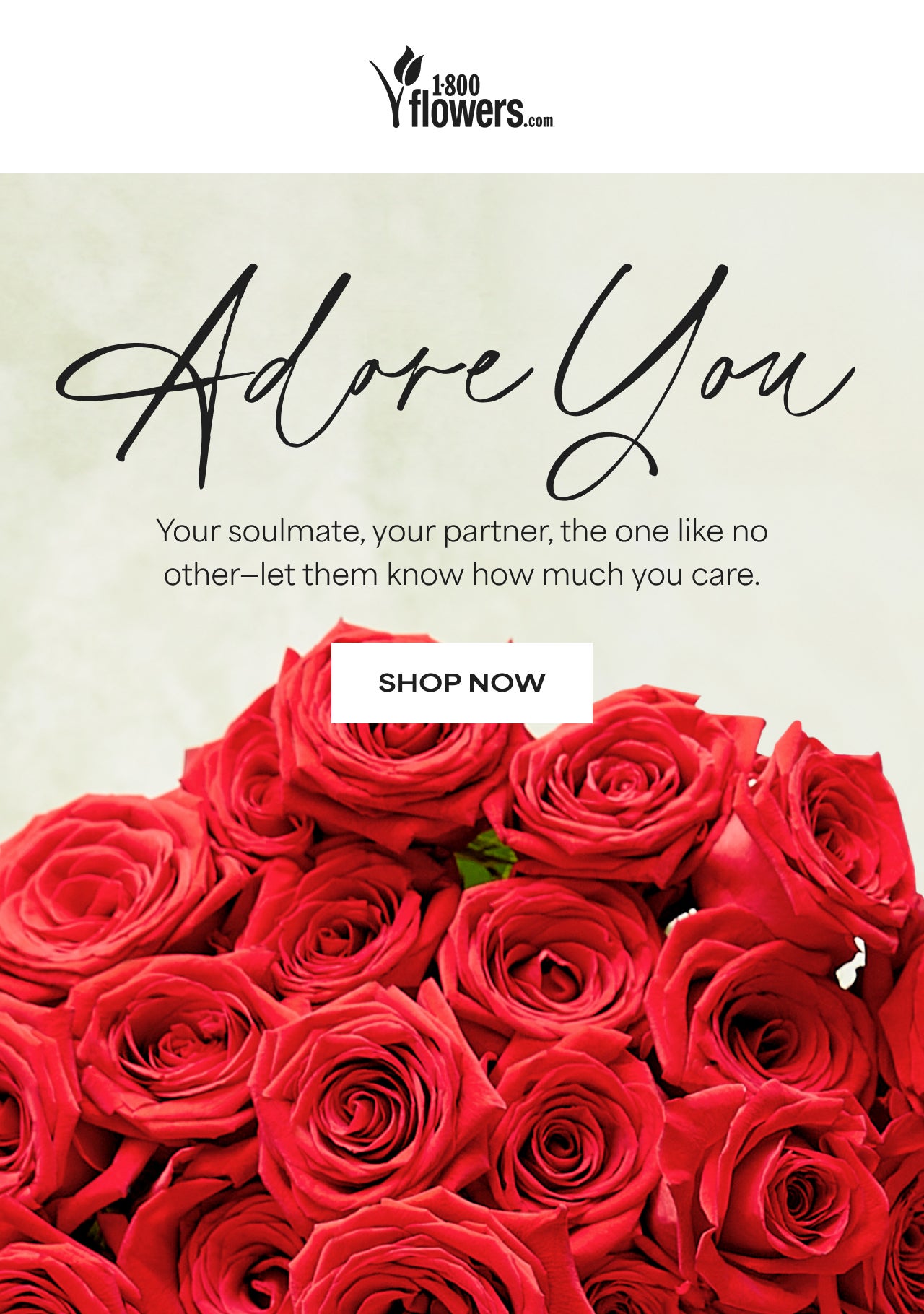 Adore You | Your soulmate, your partner, the one like no other-let them know how much you care. | Shop Now