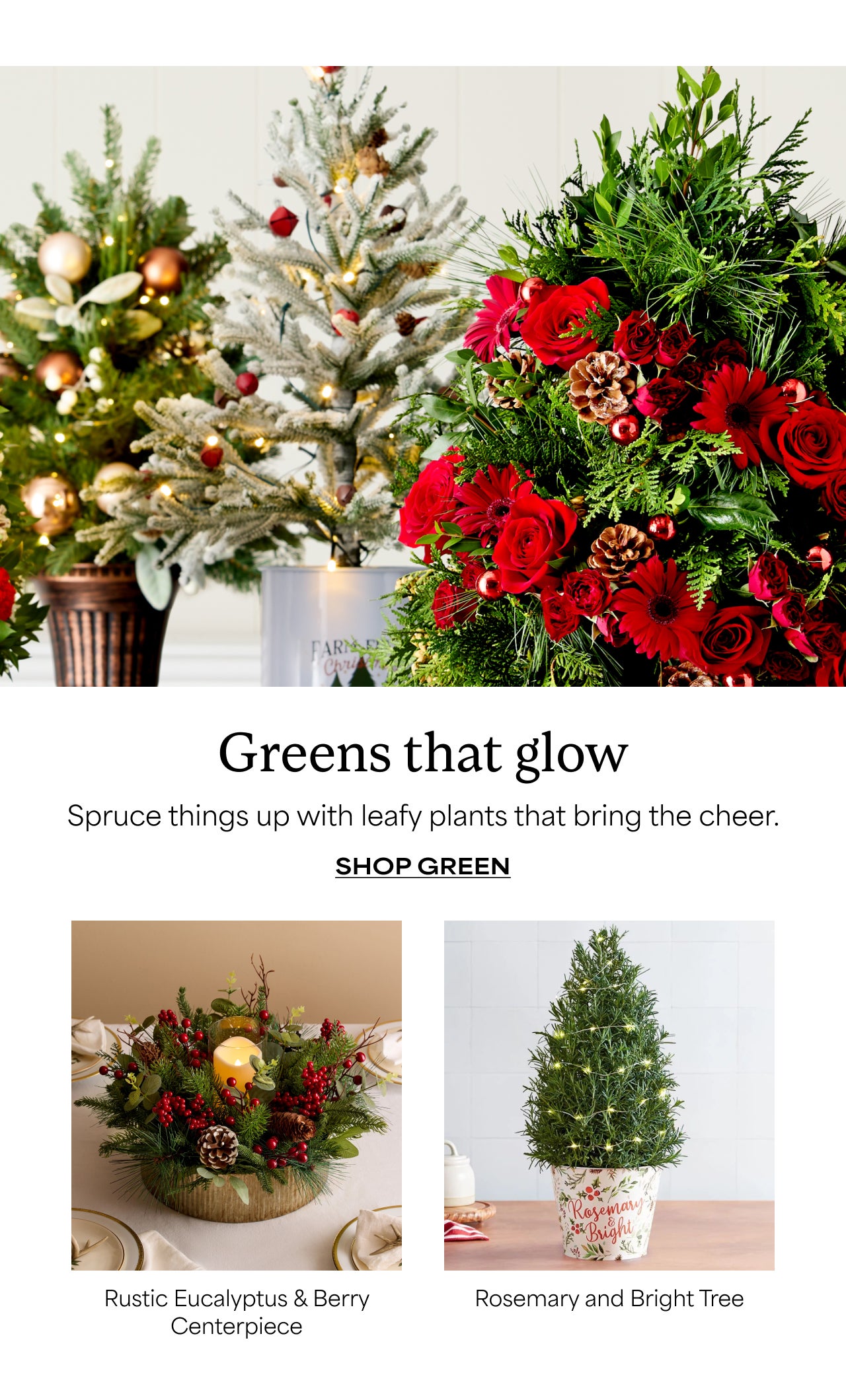 Greens that Glow | Shop Green