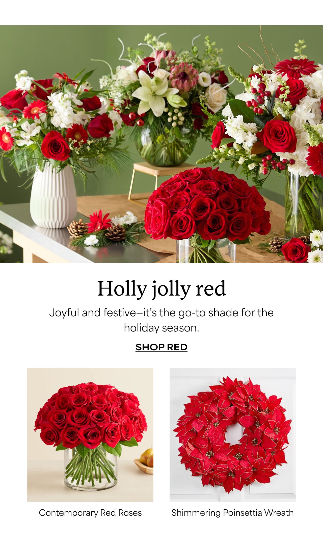 Holly Jolly Red | Shop Red