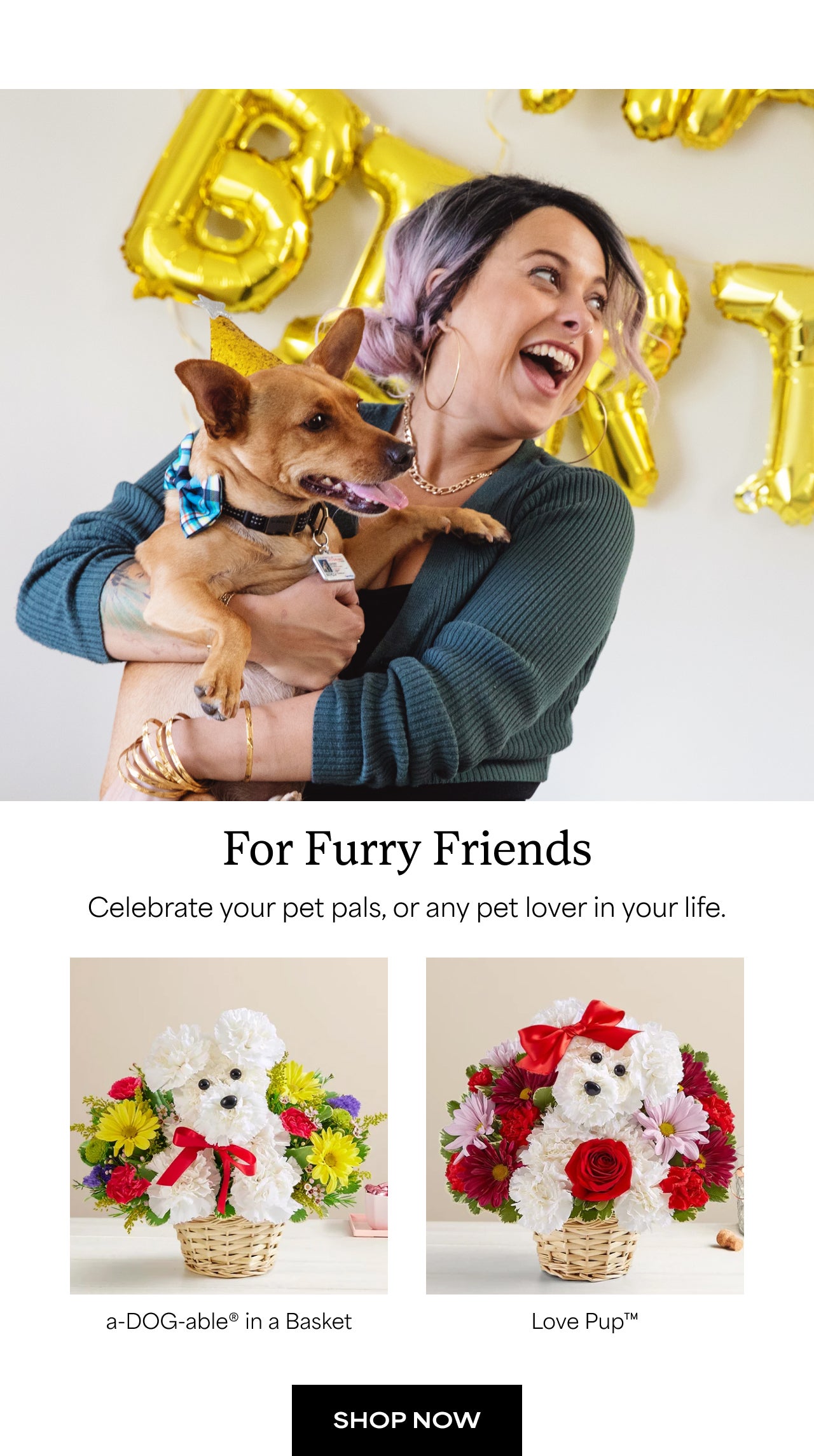 For Furry Friends | Shop Now