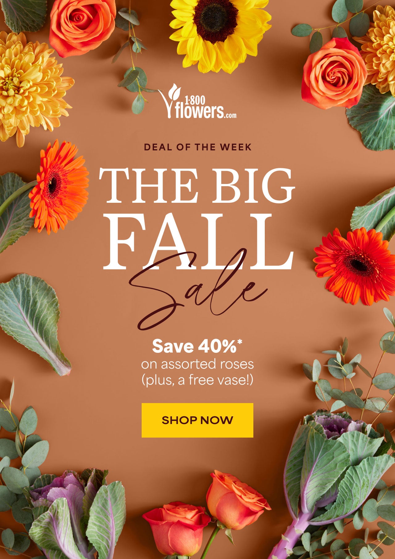 THE BIG FALL SALE