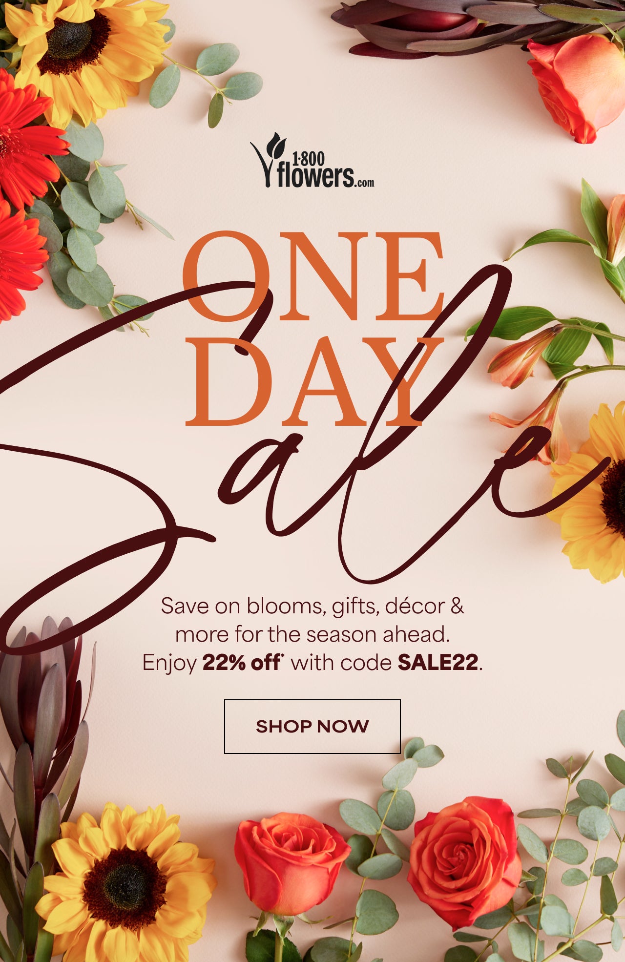 ONE DAY SALE