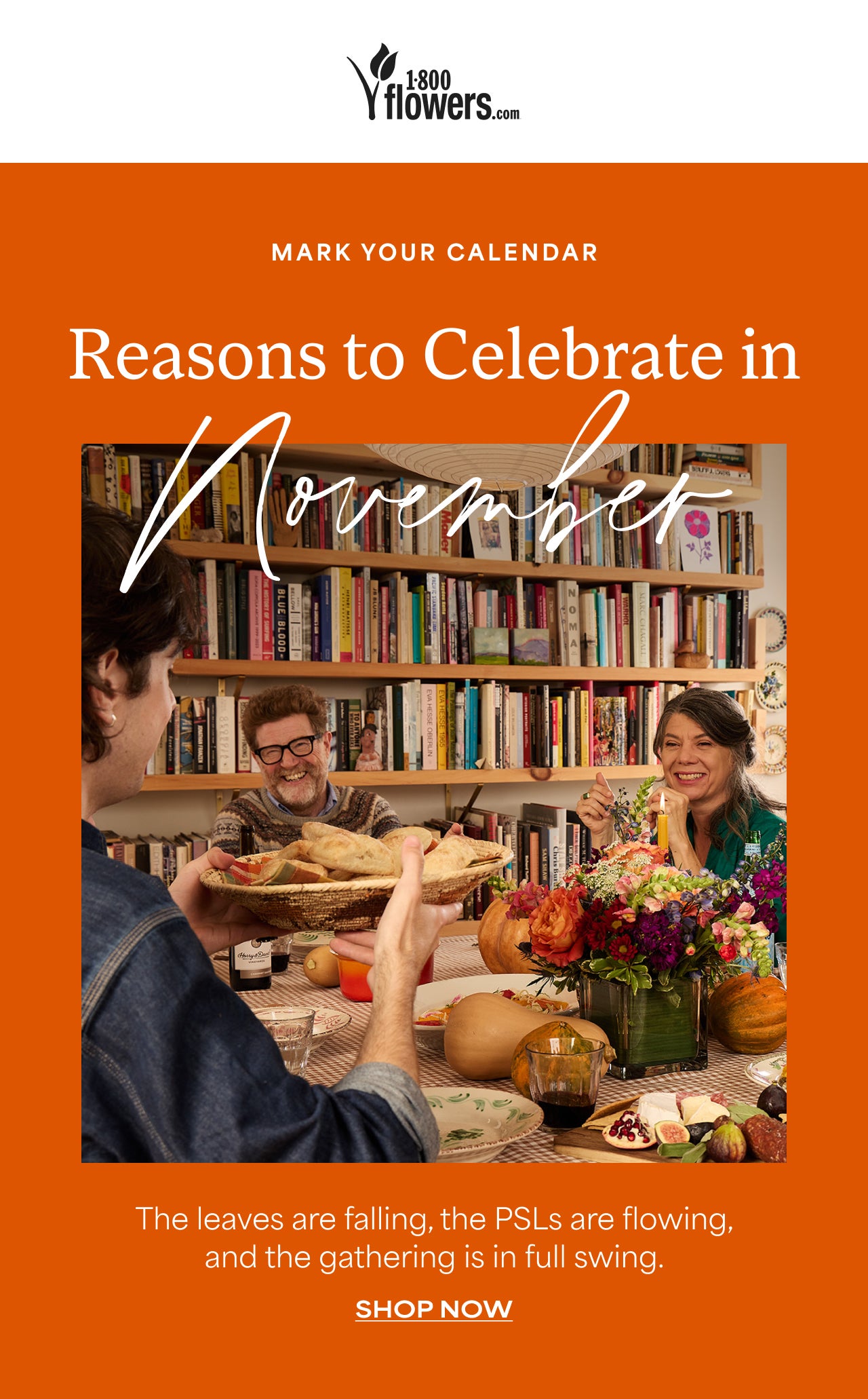 Mark Your Calendar | Reasons to Celebrate in November | Shop Now