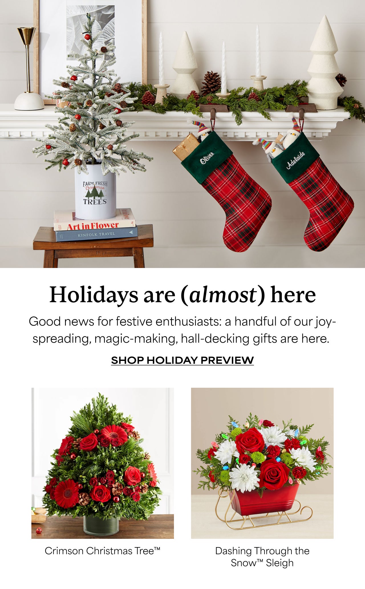 Holidays are Almost Here | Shop Holiday Preview