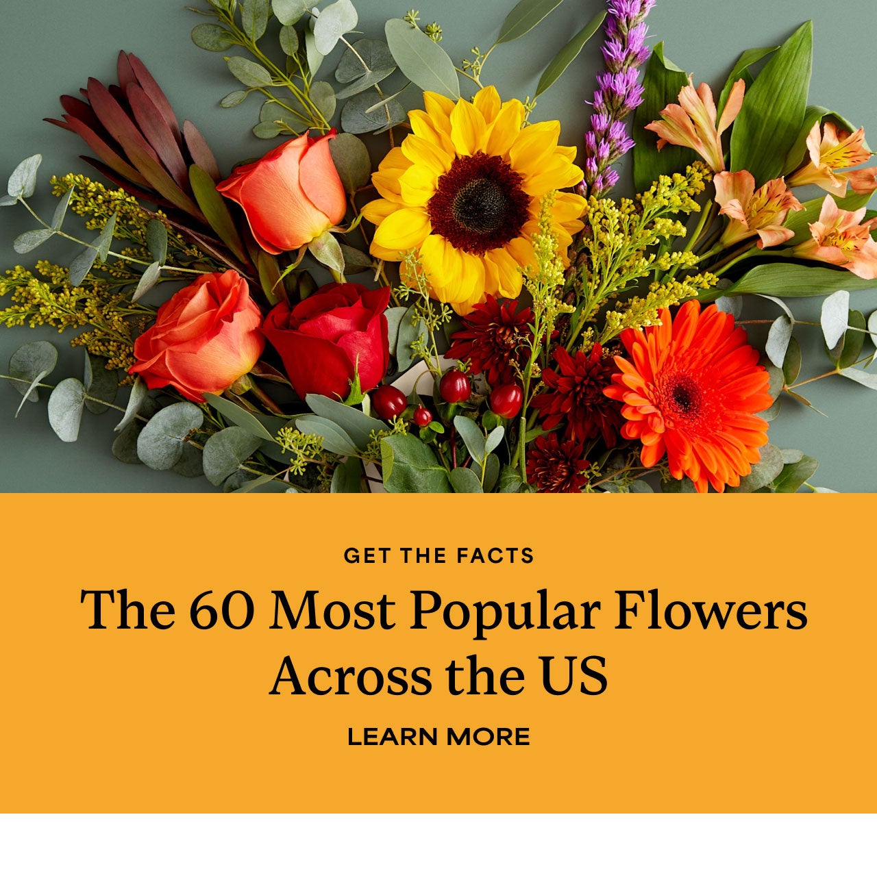 THE 60 MOST POPULAR FLOWERS ACROSS THE US