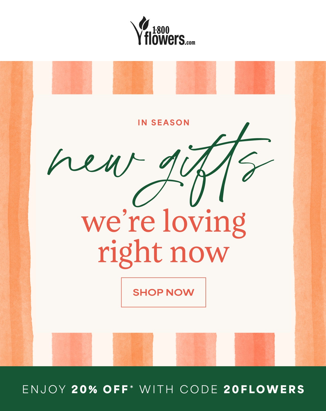 SHOP NEW GIFTS