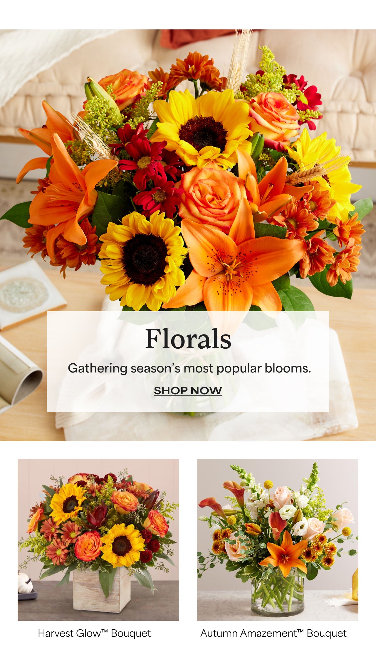 Florals | Gathering Season's Most Popular Blooms | Shop Now