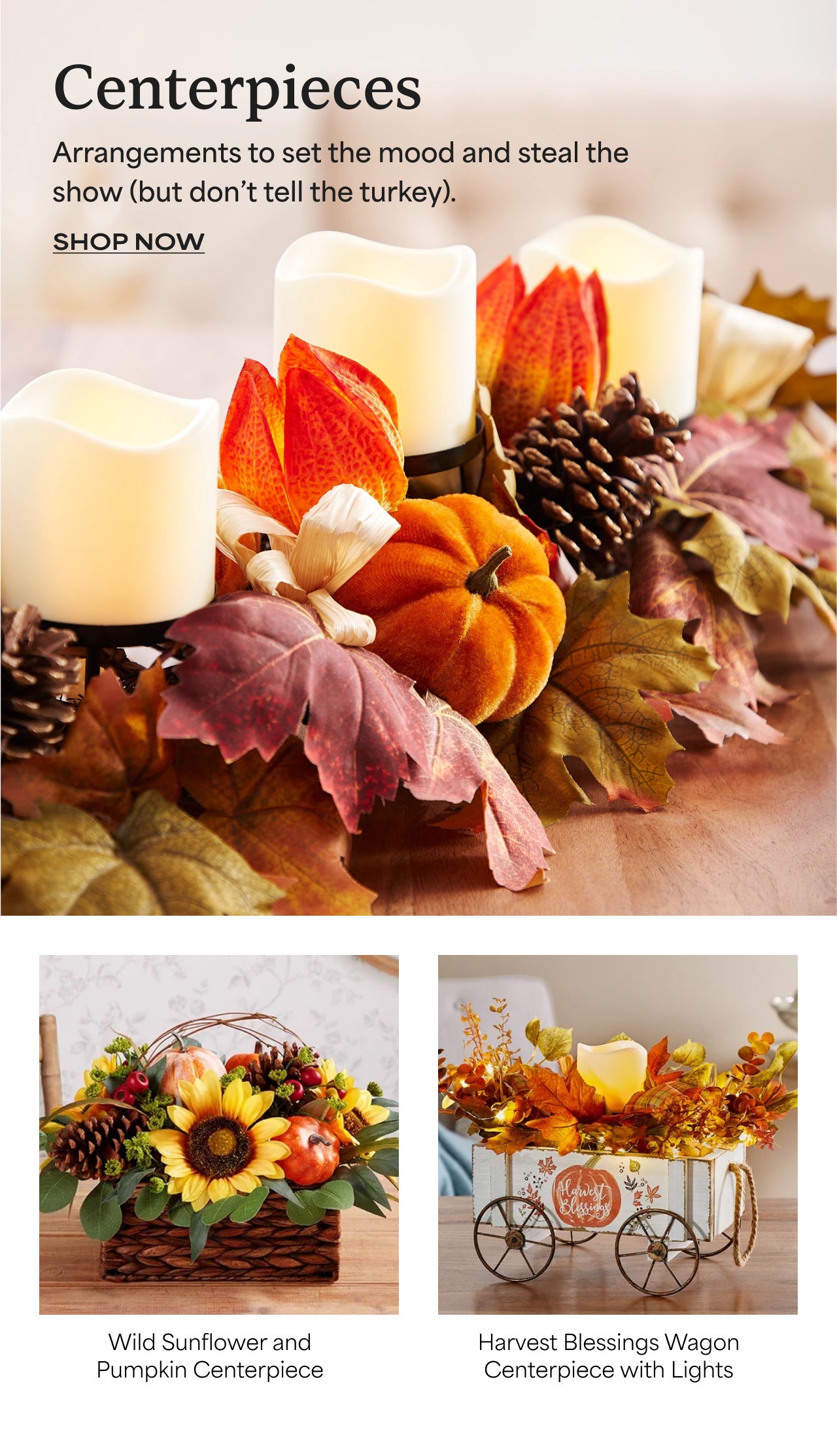 Centerpieces | Arrangements to Set the Mood and Steal the Show (but don't Tell the Turkey) | Shop Now