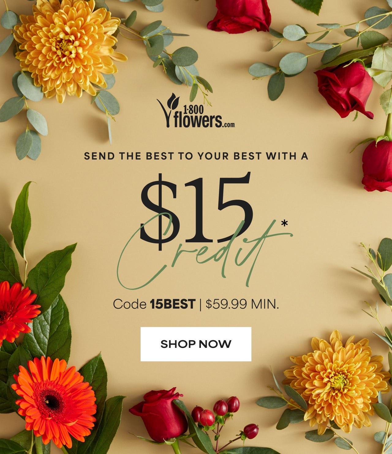 Send The Best To Your Best With A $15 Credit | Code 15BEST | $59.99 Minimum | Shop Now