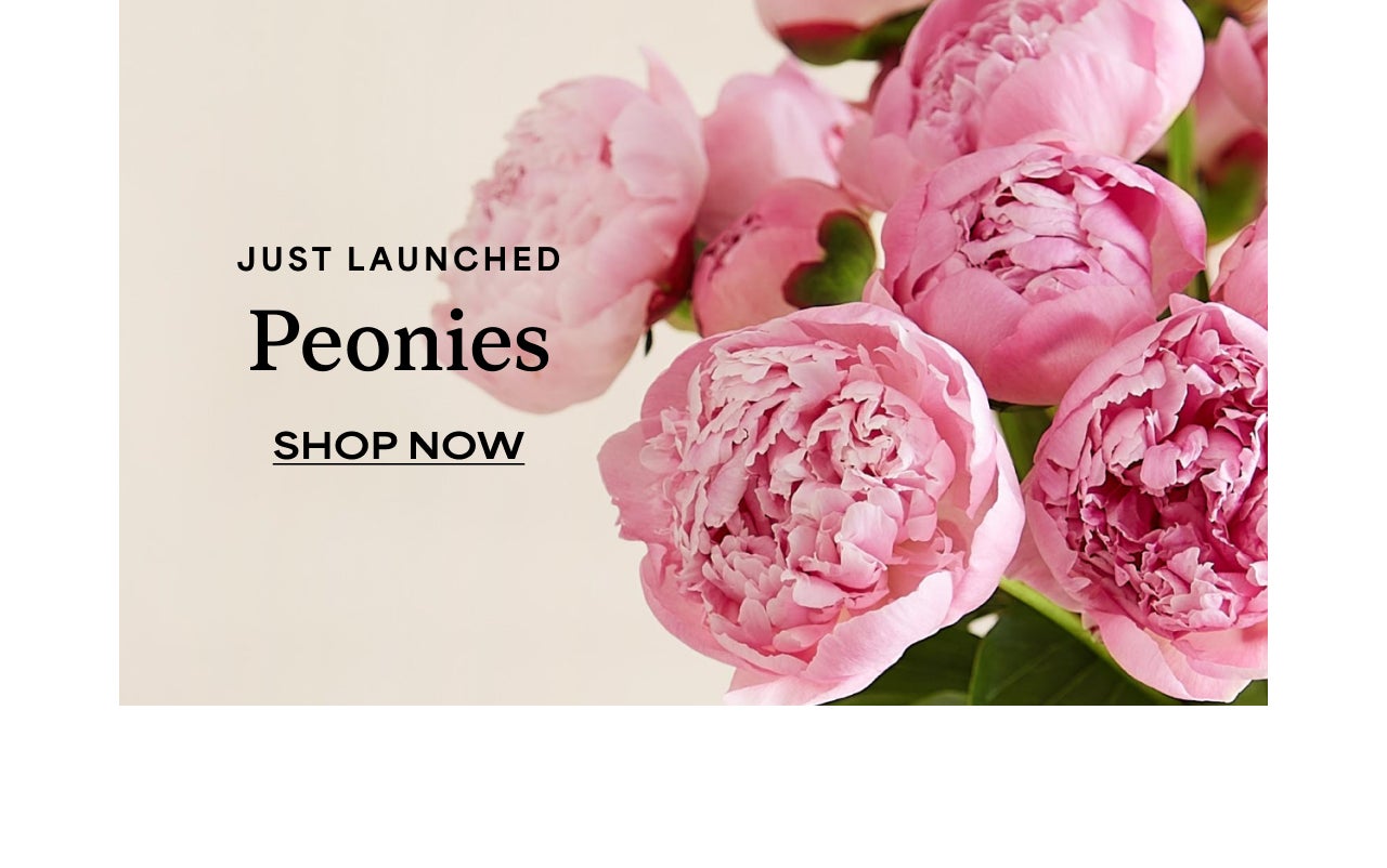 Just Launched | Coral Peonies | Shop Now